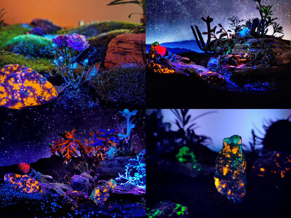 植物通过“危险信号”察觉寄生线虫