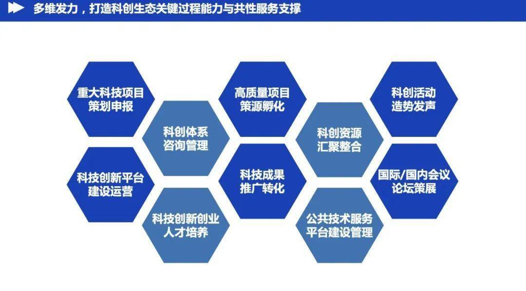 科技赋能 智造未来——中国钢铁产业锻造高质量发展新范式观察