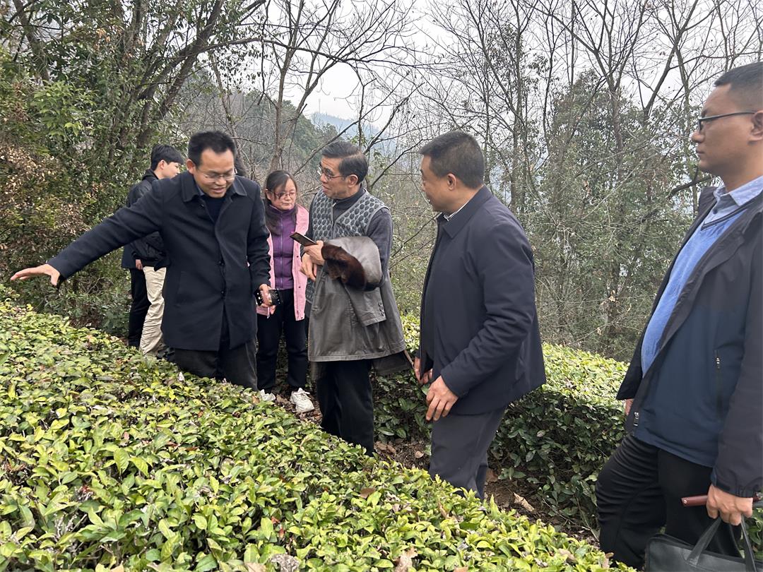 产学研协同构建“运动追高”体系 《中国青少年运动长高蓝皮书》正式发布