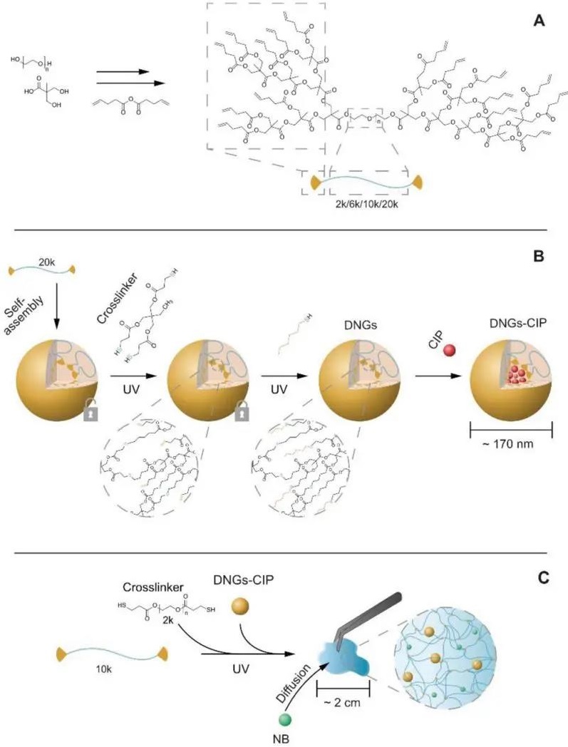 超声波技术结合纳米颗粒封装提升药物递送精度