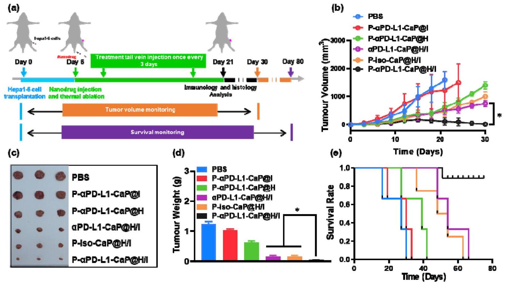 超声波技术结合纳米颗粒封装提升药物递送精度