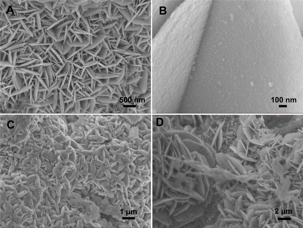 我国授权纳米专利总数达46.4万件