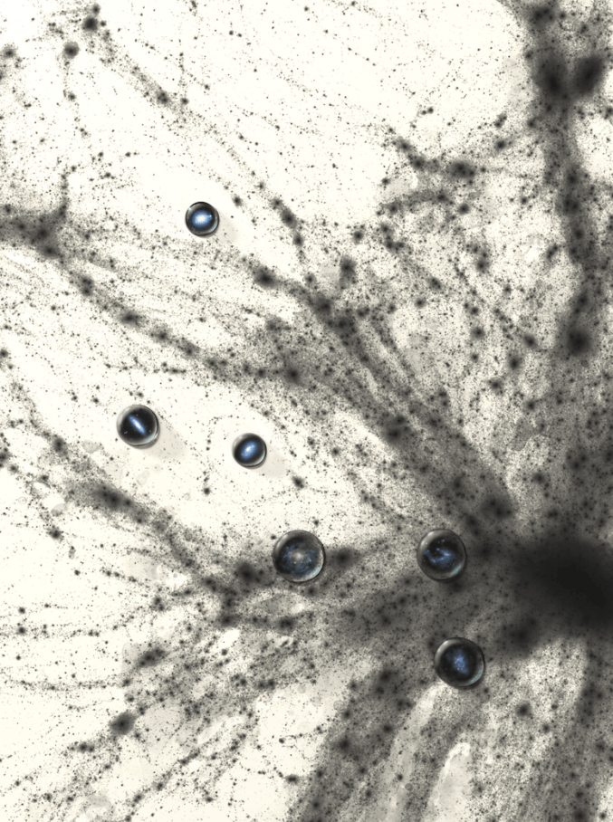 新研究揭示银河系中超高速白矮星起源