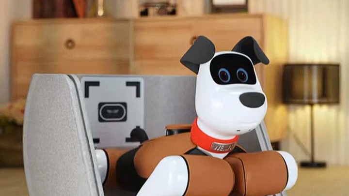 具身智能如何从“能动”走向“灵动”