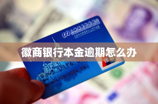 徽商银行上半年利息净收入现负增长，房地产不良激增190%，资本充足率指标持续下滑