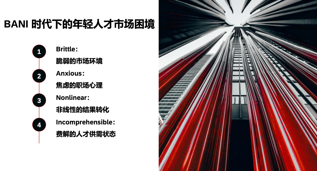 荣耀校招创新背后的人才观与AI生态布局