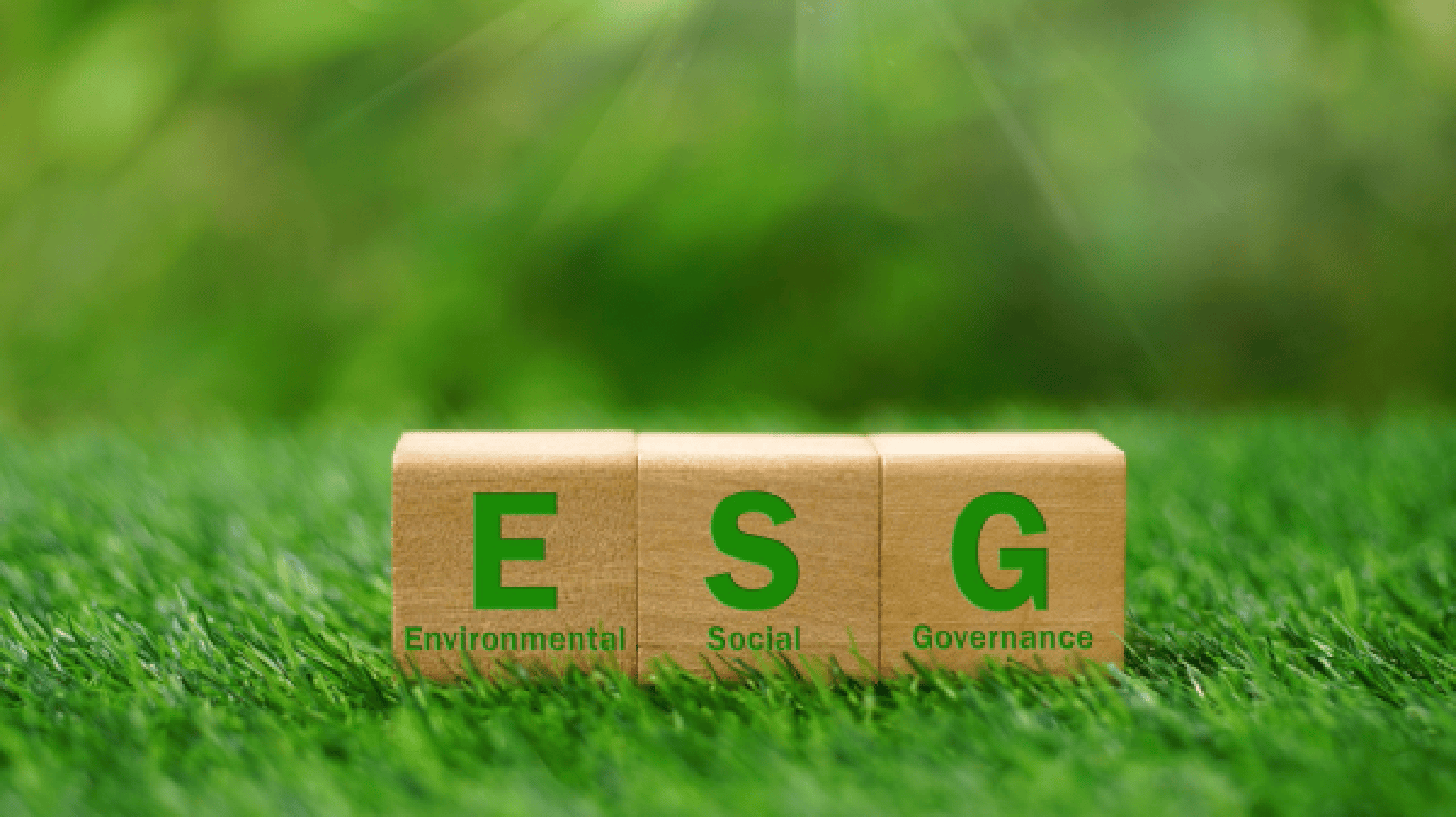 【ESG动态】冀凯股份（002691.SZ）获华证指数ESG最新评级CC，行业排名第396