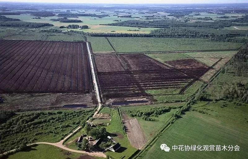 爱沙尼亚9月份居民消费价格同比上涨5.2%