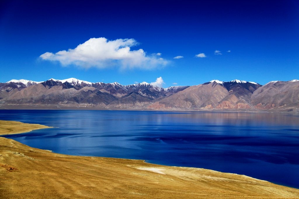 西藏矿业：白银扎布耶目前还在挂牌中