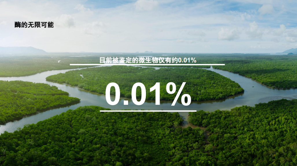 攻克高碳排放难题！我国科学家在绿色催化技术上取得新突破