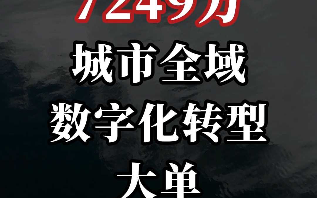 到2027年底建成50个以上全域数字化转型城市