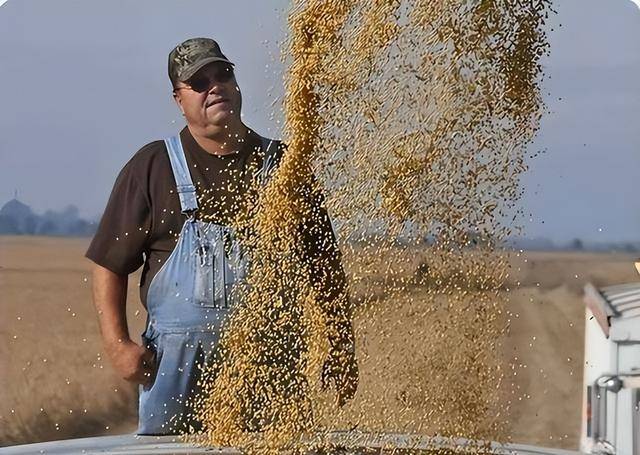 10月巴西猪肉出口增长10.1%