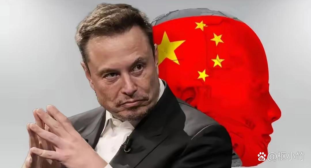 巧克力巨头供应链加剧西非最后雨林破坏