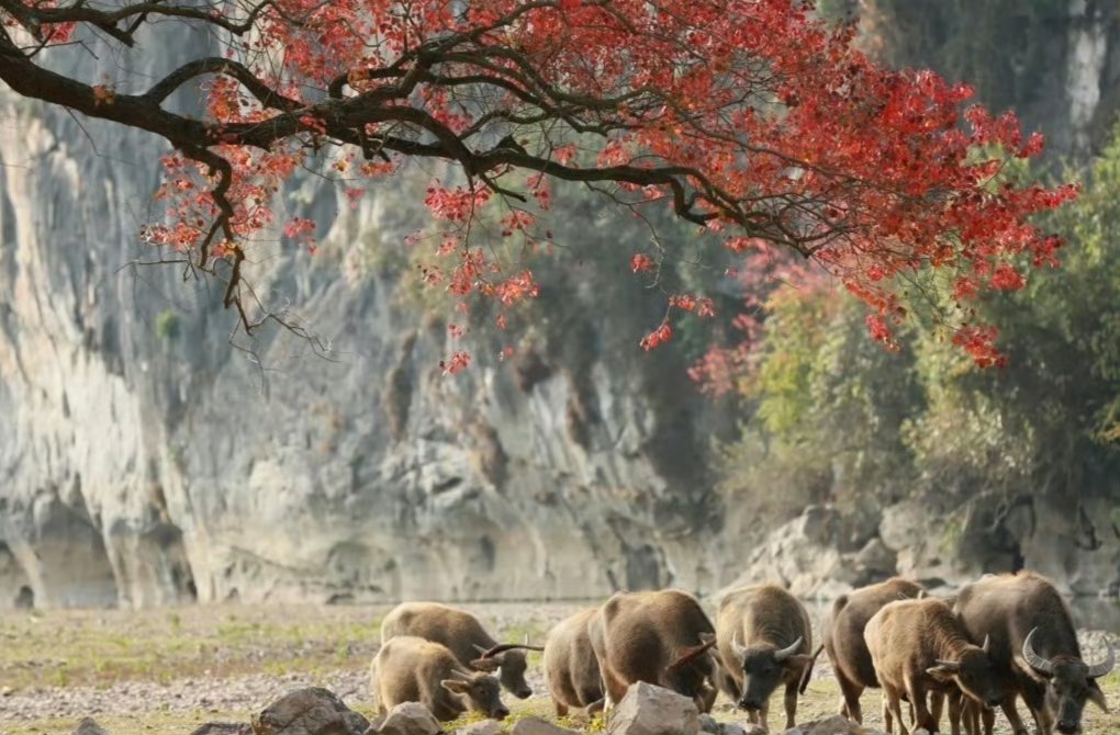 经合组织预测，波兰2026年GDP将增长3.4%，2027年将增长2.7%