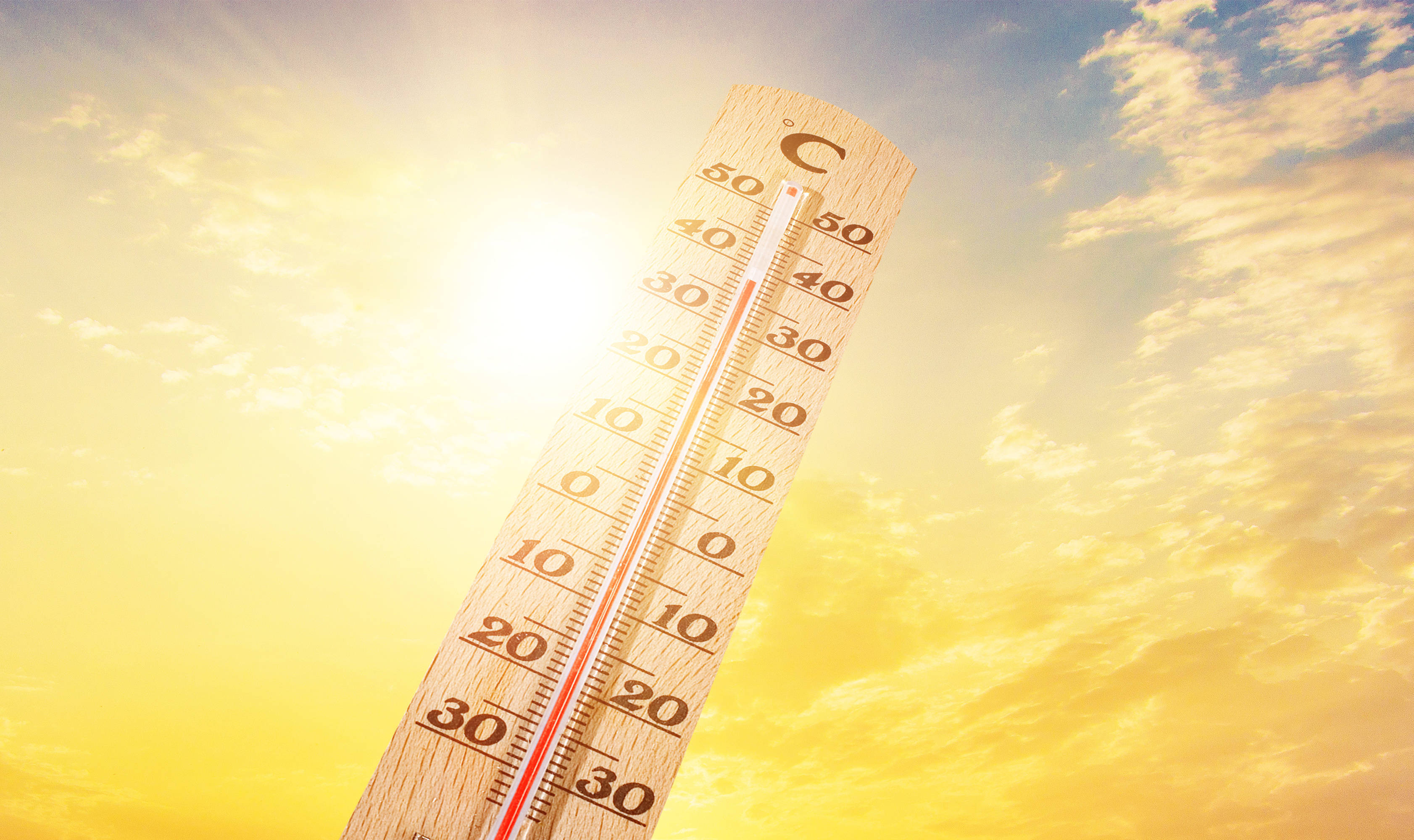 新报告显示北极气温创1900年以来最高纪录