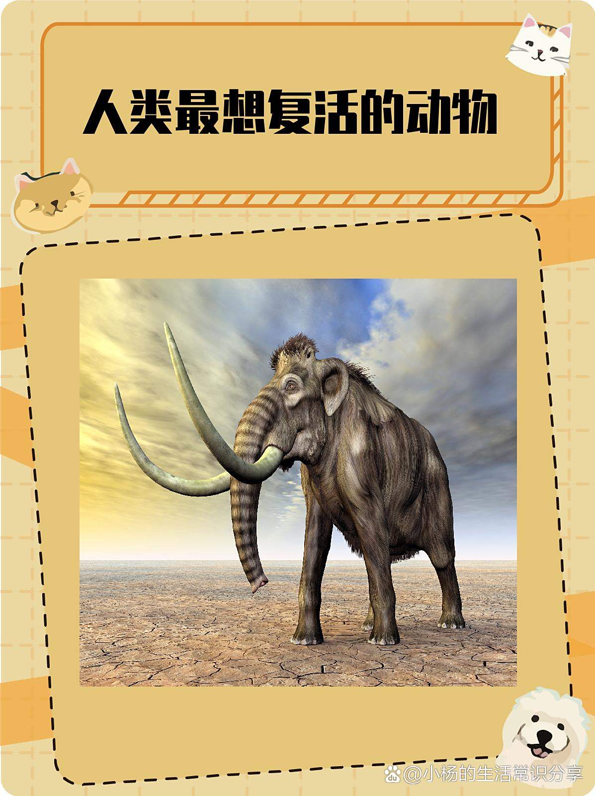 新研究:气候变化和人类活动或致近8000种动物面临灭绝风险