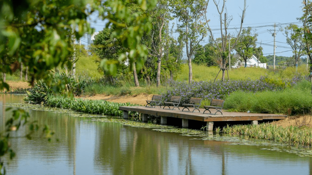 滨化股份拟发行10亿元债务融资工具 赋能绿色化工战略转型