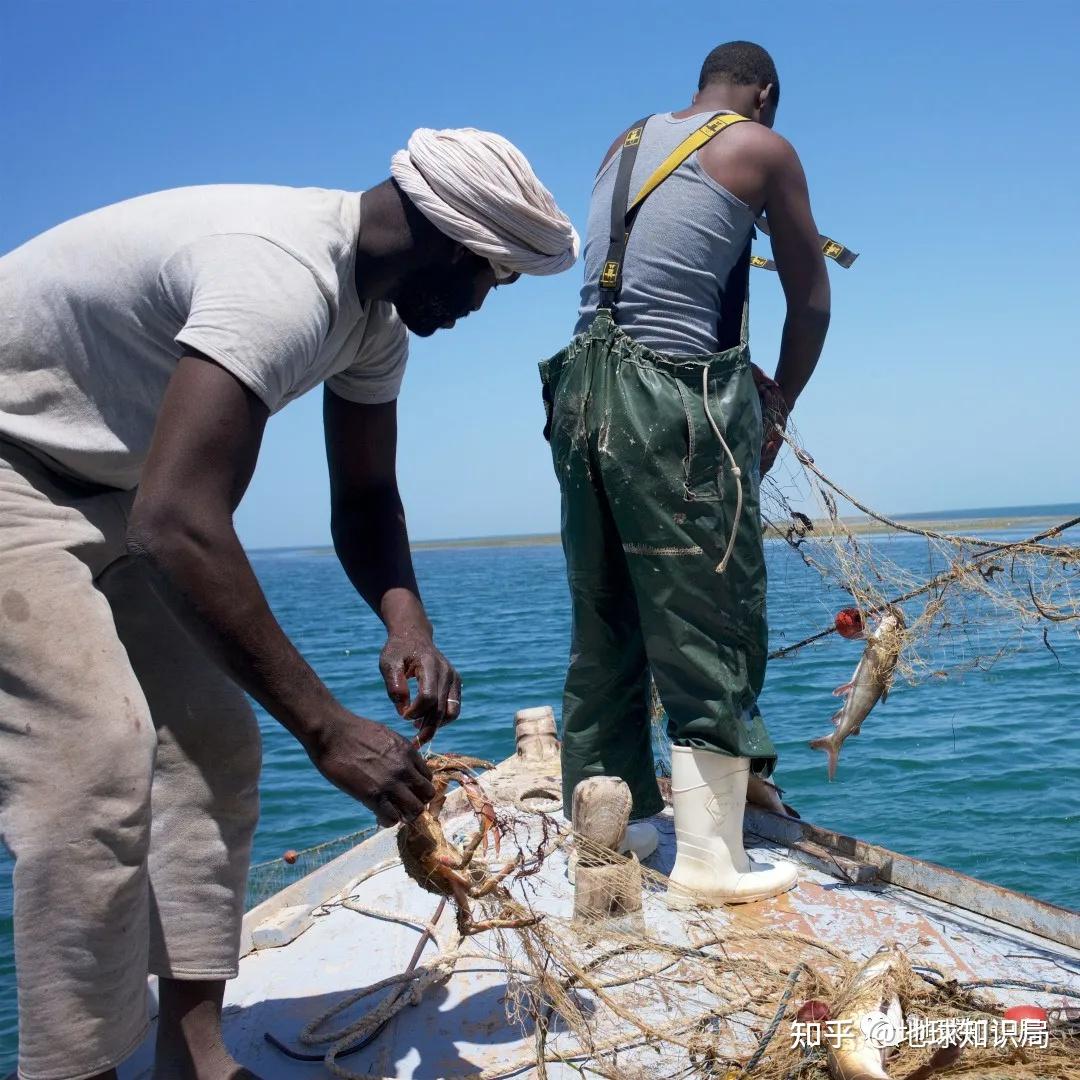 毛里塔尼亚总统主持3.17亿美元基法市供水项目奠基仪式