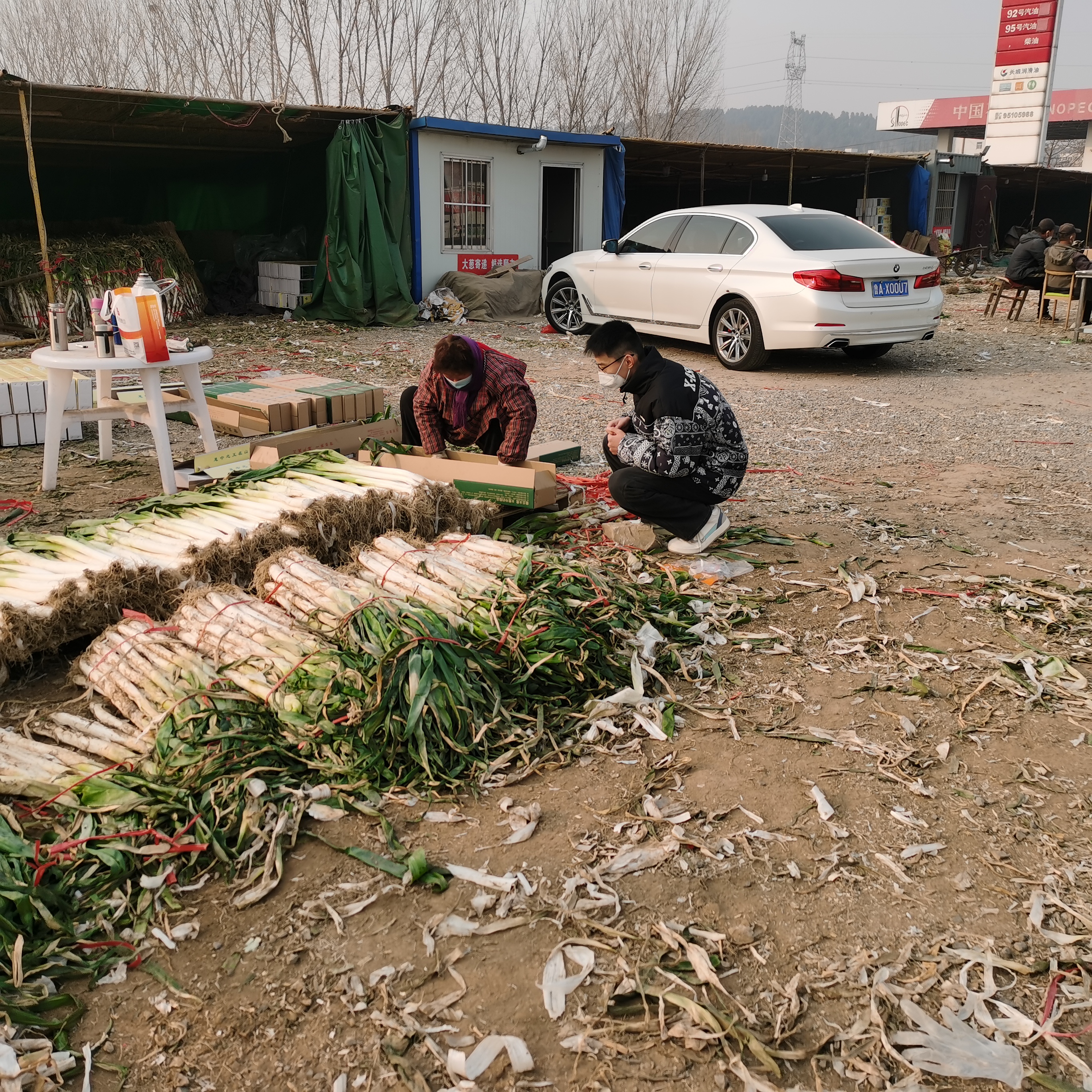 田间成果竞芬芳 青春聚力兴三农，“拼多多杯”第三届科技小院大赛总决赛落幕