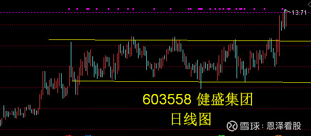 健盛集团(603558.SH):终止越南清化新建项目