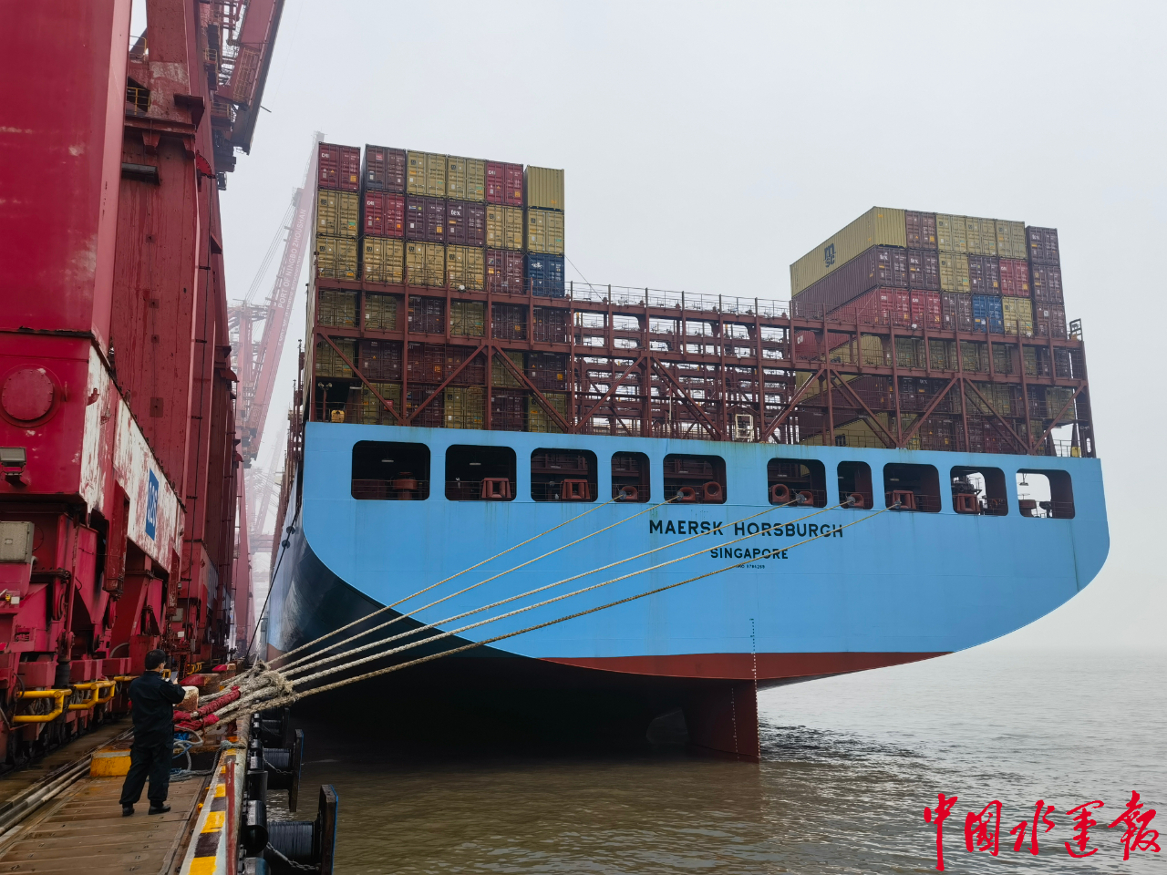 科伦坡港2025年创下829万标准箱的历史新高