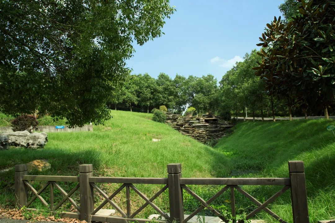 第五届青山科技奖出炉:聚焦“数字+绿色”,鼓励基础科研“更落地”