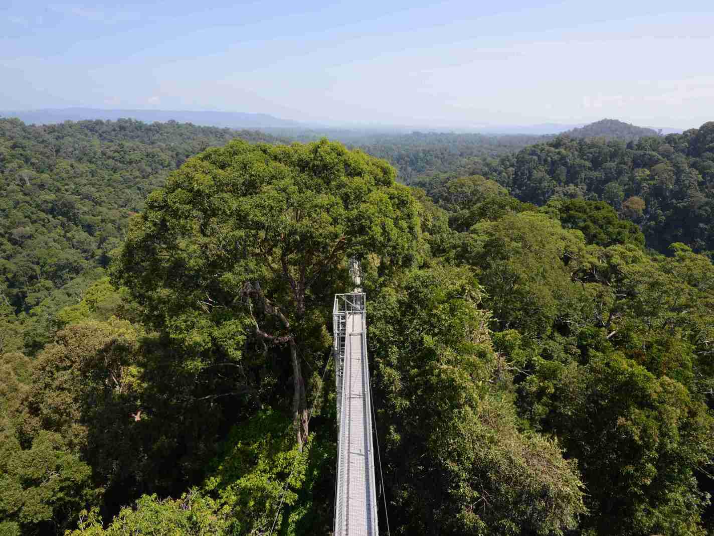 文莱实施国家数字身份系统