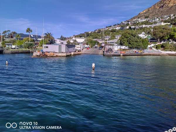 开普敦港口严重延误重创南非水果出口