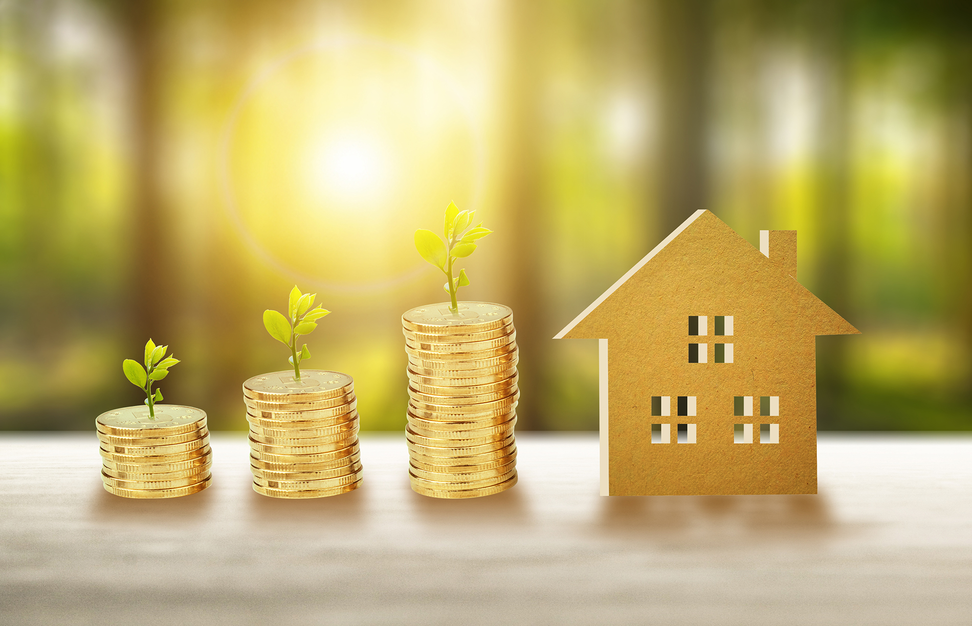 每周债市看点|花样年间接控股股东境外债务重组计划会议将于2月召开，福建阳光新增1起失信被执行信息