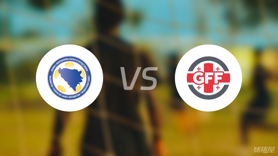 波黑2025年电力进口额创历史新高