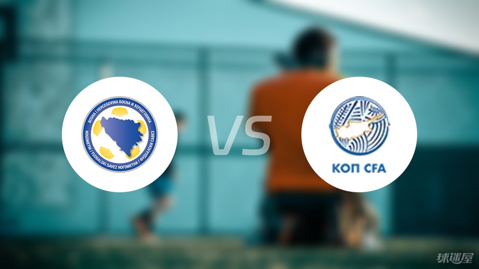 波黑2025年电力进口额创历史新高