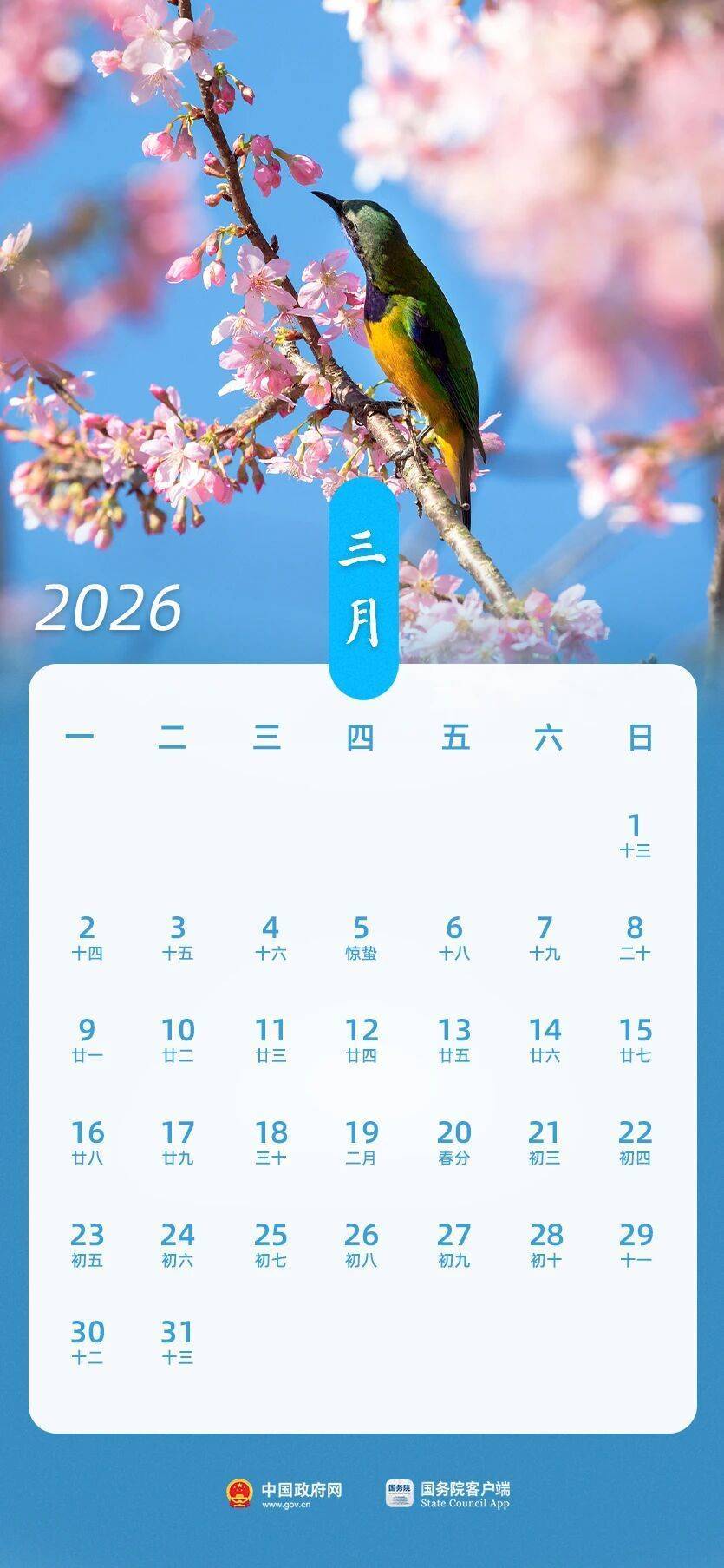 三羊马:截止2026年2月10日,公司含信用账户合并人数为17,854户