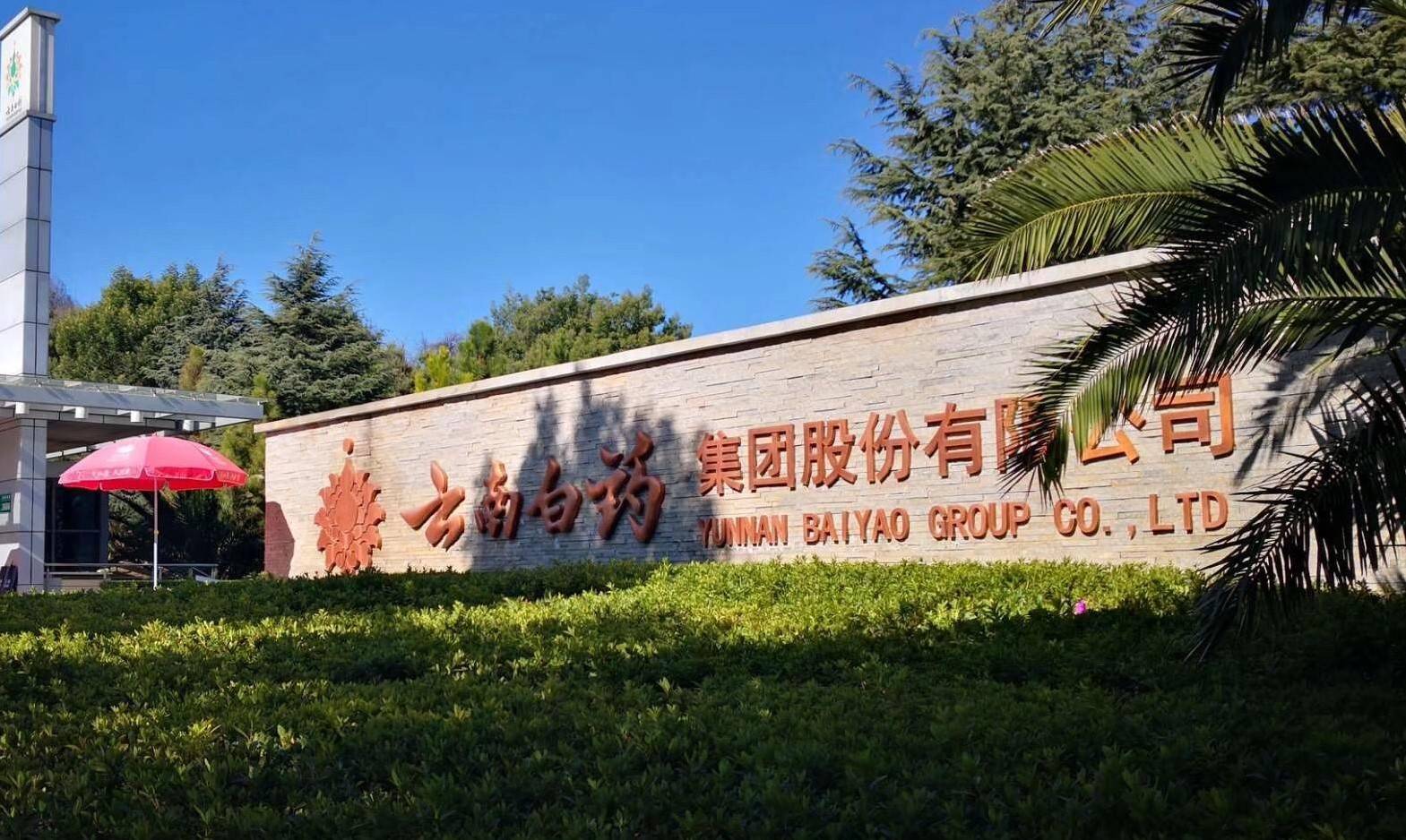 鸿合科技：截至2026年2月13日，公司股东总户数为16,938户