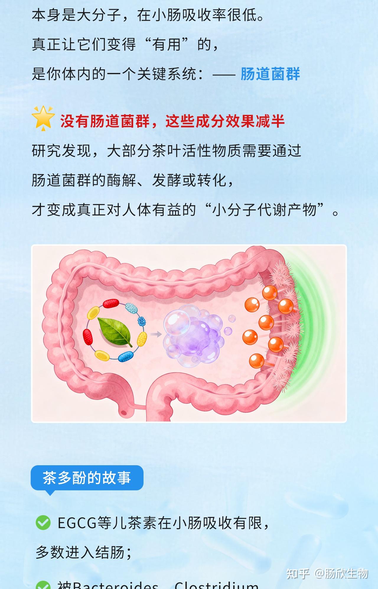 研究揭示一类“隐秘”肠道细菌有益健康