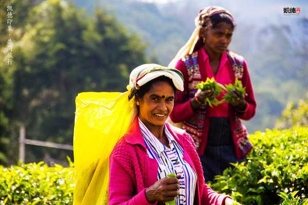 斯里兰卡正式推出数字游民签证，吸引远程专业人士长期居留