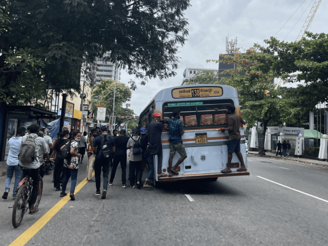 斯里兰卡肉桂出口创历史新高,2025年出口额接近80亿卢比