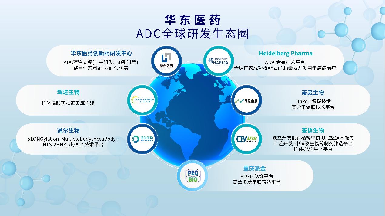 华东医药：创新药业务正逐步进入收获期