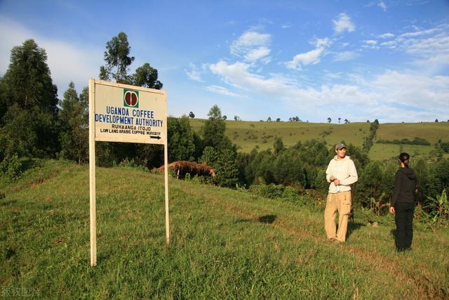 乌干达拟借助坦桑尼亚铁路开辟新出口路线