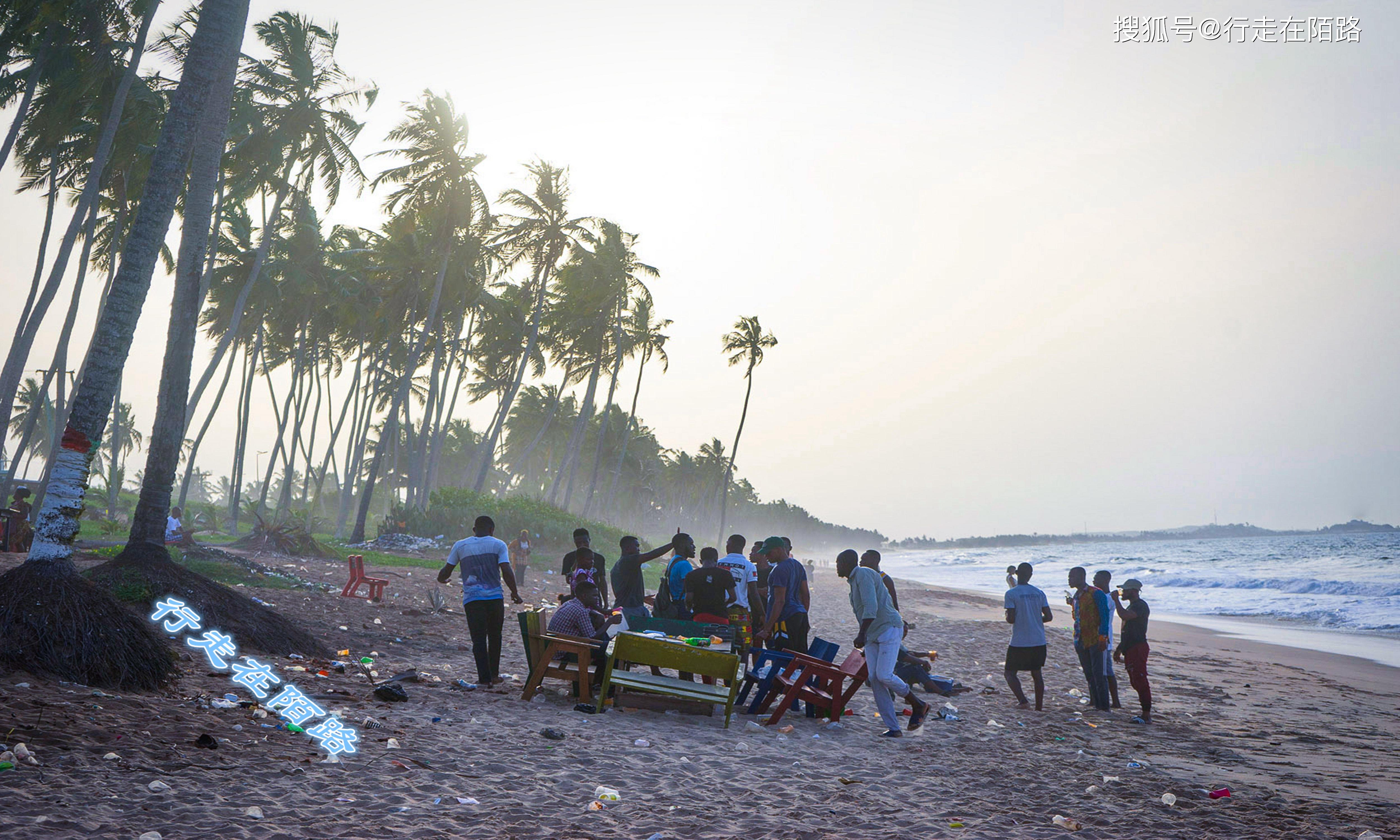 加纳推动林木产业升级