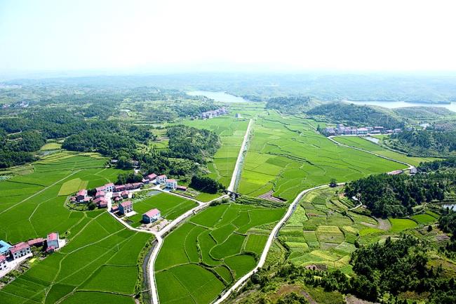 利比里亚与IFAD深化合作 推动农业转型与青年创业