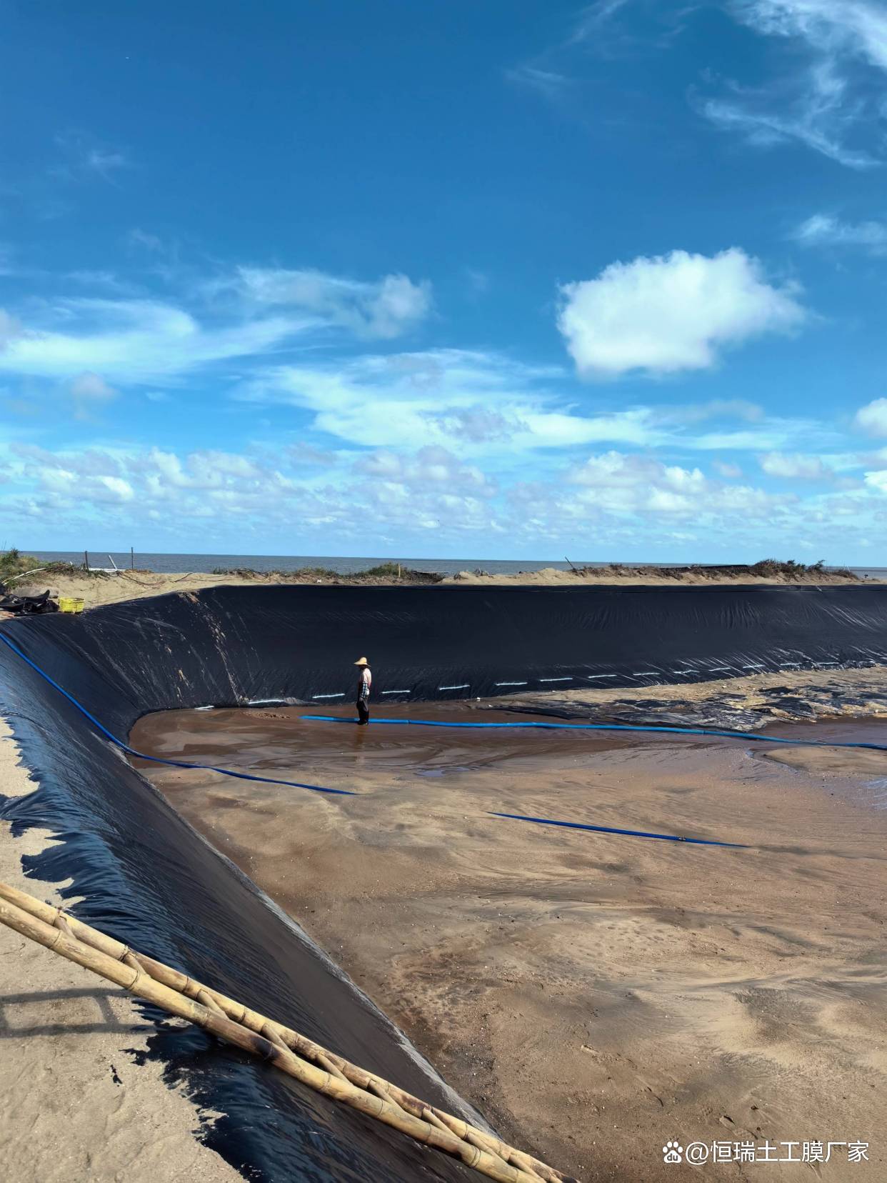 技术破“盐障” 沃土现东营