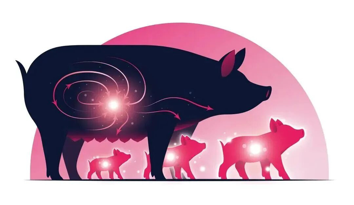 红利投资恒久远，盈利质量谱新篇――华证-国元证券红利优选指数正式发布