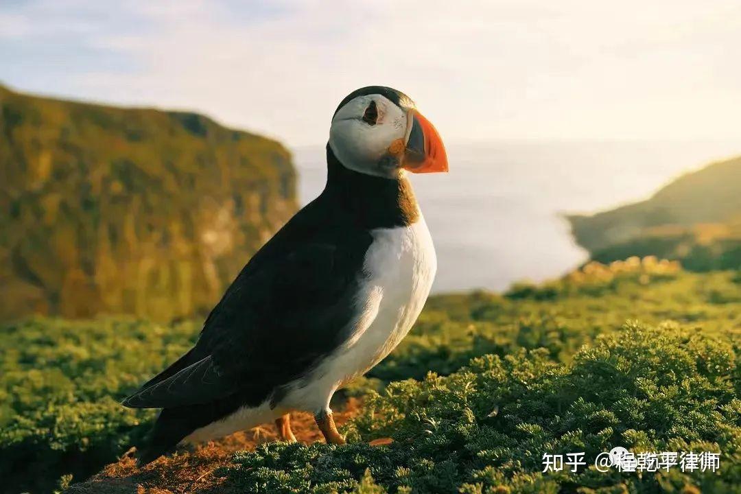 立方风控鸟·晚报（4月15日）