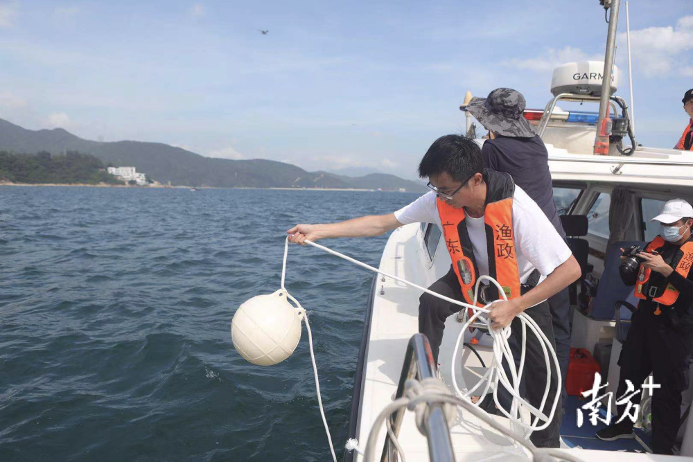 科研人员观测到金属/载体界面的体相氧溢流