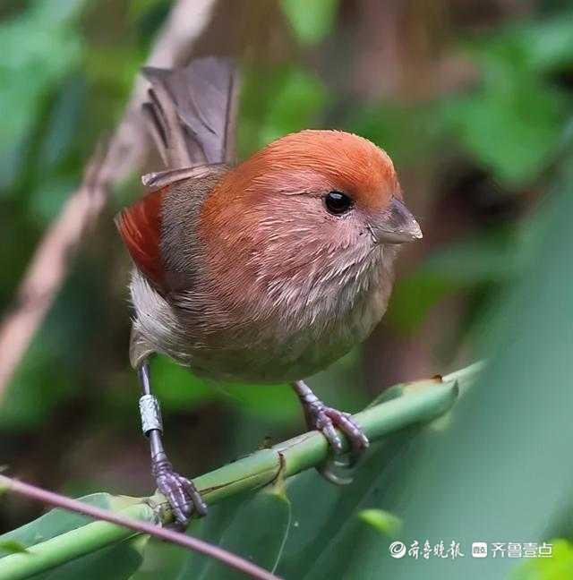 立方风控鸟·晚报（4月17日）