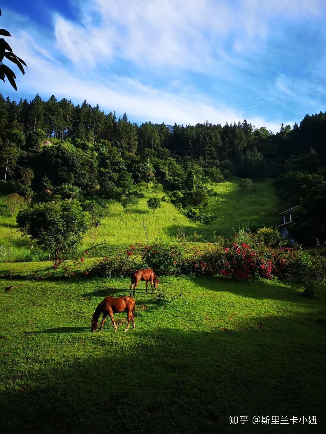 斯里兰卡建筑业：规模扩大，但2月增速放缓