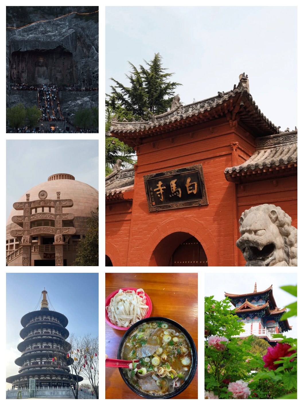 赏牡丹、游神都 滴滴多重惊喜助力洛阳踏春出行