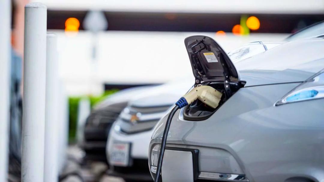 2025年沙特能源企业利润下降11.5%