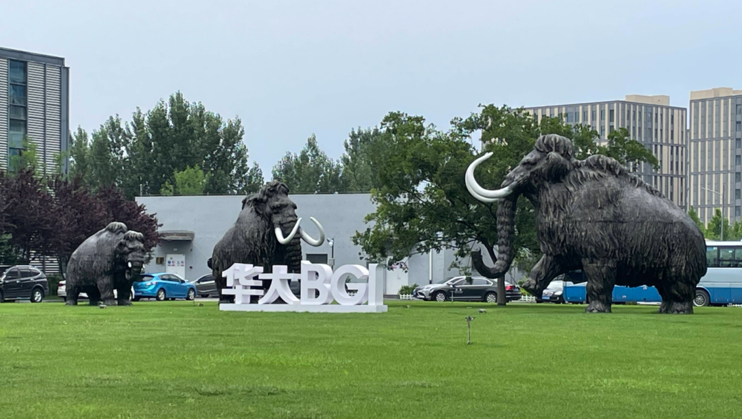 华大智造（688114）2026年一季报简析：营收上升亏损收窄，盈利能力上升