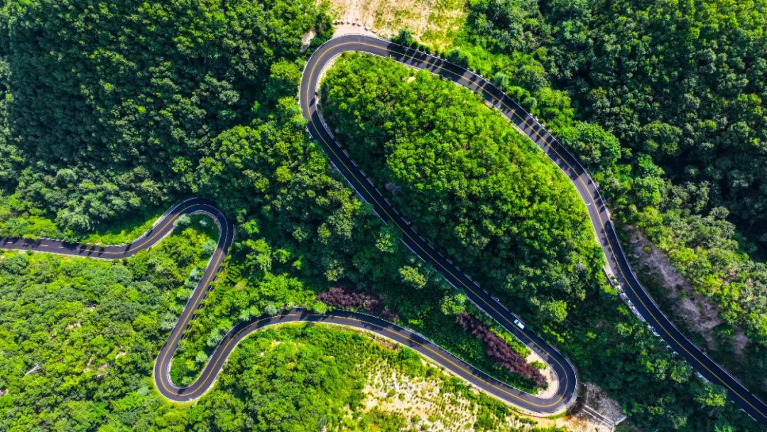 罗 牛 山：截至2025年12月31日，公司尚未结清的短期借款和长期借款主要用于除房地产开发以外的其他主营业务板块